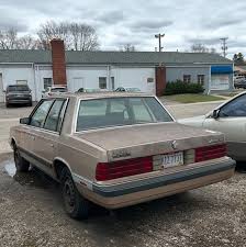 Image result for Powder Blue 1994 Reliant