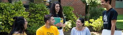 Adelphi also has centers in manhattan, hudson valley, and suffolk count. Adelphi University The Princeton Review College Rankings Reviews
