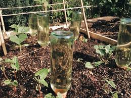 Bewässerung für ihren garten, tübingen. Wer Giesst Im Garten Wenn Ich Nicht Da Bin Gartenblog Hauptstadtgarten