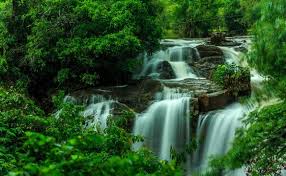 Sirimane falls is one among the many waterfalls of the western ghats of karnataka. Beautiful Sirimane Water Falls Between Green Trees In Yadadahalli Karnataka Stock Photo Adobe Stock