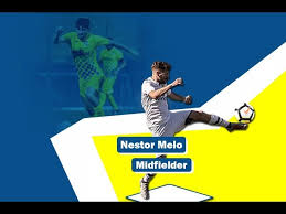 Nestor Melo