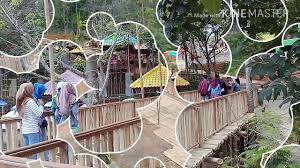 Pengunjung akan dikenakan tarif sebesar 20k sebagai tiket masuk the hills vaganza kudus ini. Tiket Masuk The Hills Vaganza Kudus