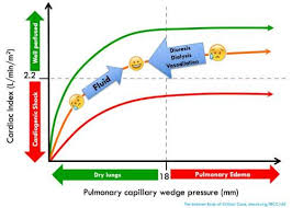 Image result for CHF Observation Unit