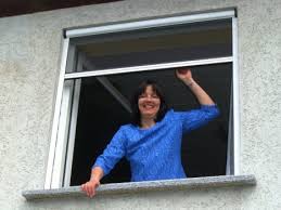 Insektenschutz Fliegengitter Rollo Fur Fenster 130 X 160 Cm Auch Fur Dachfenster Einsetzbar