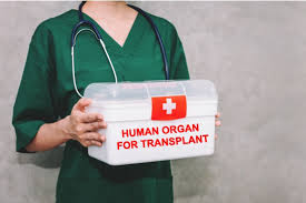 Image result for Transplantation
