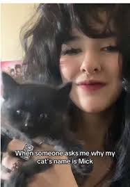 Why I Named My Cat Mick After Rock Legends