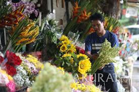 Maybe you would like to learn more about one of these? 5 Jenis Tanaman Hias Yang Selalu Laku Keras Di Pasar