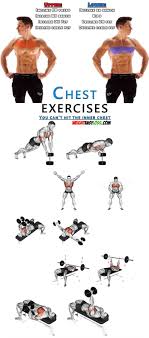 Pin By Karla Pongrac On Work Out Chest Workouts Lower Chest Workout Dumbbell Chest Workout