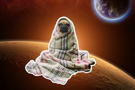 Poin menarik dari hot gambar tengkorak bersayap gambar stiker adalah. How To Create Custom Stickers On Picsart Create Discover