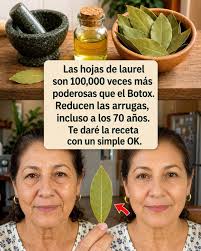 Las hojas de laurel son 100.000 veces más potentes que el bóto..ver mas