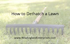 This way, you'll remove the excess debris and promote healthy root development. How To Dethatch A Lawn New England Enterprises Ma