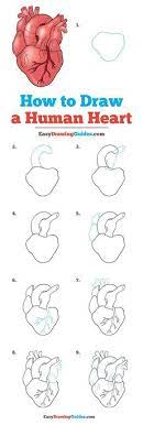 Maybe you would like to learn more about one of these? How To Draw A Human Heart Really Easy Drawing Tutorial Drawing Tutorial Easy Human Heart Drawing Drawing Tutorials For Kids