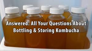 Link to post share on other sites Answered All Your Questions About Bottling Storing Kombucha Kombucha Journal