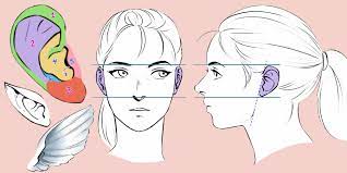 In the first step of drawing anime ears, we are going to focus on the overall shape of the ear by drawing the then look at samples of your own favorite anime and magna art as reference, and then spend some. Guide To Drawing Ears Art Rocket