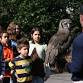 Spring HomeSchool Academy at Zoo Atlanta (K-12) event image