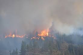 Evacuation alerts and orders are being considered as an aggressive fire continues to grow north of osoyoos. Czmzoqgmcpozhm