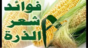 فوائد شعر الذرة هناك العديد من الفوائد التي يمكن الحصول عليها من شعر الذرة وهي ٢ الحد من الأوجاع الناتجة عن مرض الروماتيزم والمفا health advice health corn
