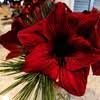 Check spelling or type a new query. Edwards Floral Design Linkedin
