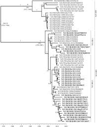 Top 20 viral video in bangladesh #top_20 #viral #videos. Genetic Diversity Of Nipah Virus In Bangladesh International Journal Of Infectious Diseases