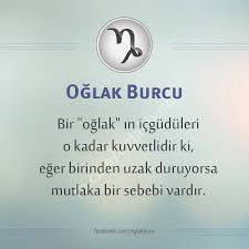 Lady Umi Adli Kullanicinin Personal Gifts Panosundaki Pin Burclar Oglak Burcu Burc Bilgileri
