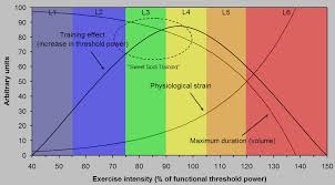 Training Zones For Cycling