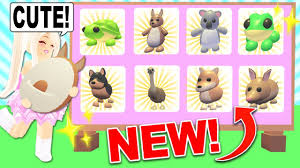To redeem roblox adopt me codes, there are a few small steps which you have to perform. Codes On Adopt Me For Pets Adopt Me Pets In Rossendale For Free For Sale Shpock Ekonomi Bangkit