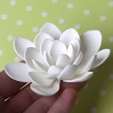 Pin On Wilton Cake Decorating