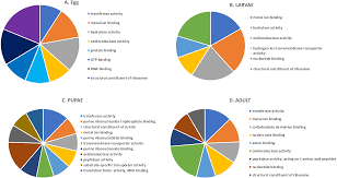 Gene Expression In Tribolium Castaneum Life Stages