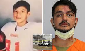 Teen stops domestic attack