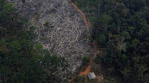 It's worth checking out to see what other sellers are doing, in particular regarding pricing and how they address customers. Brazil S Amazon Deforestation Surges To 12 Year High Bbc News