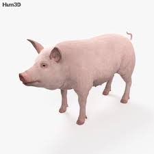 アニメーション 豚 3Dモデル - 動物 on 3DModels