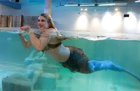Costumed Mermaid Heather Guy Shares The Caribbean Cove Tank With Stingrays At The New Seaquest Interactive Aquarium At The Boulevard Mall Bizuayehu Tesfaye Las Vegas Review Journal Bizutesfaye Las Vegas Review Journal