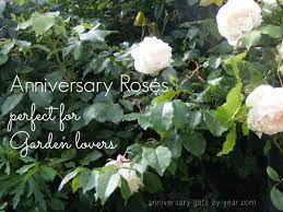 Send me exclusive offers, unique gift ideas, and personalized tips for shopping and selling on etsy. Gardening Gift Basket Ideas For The Perfect Anniversary Gift