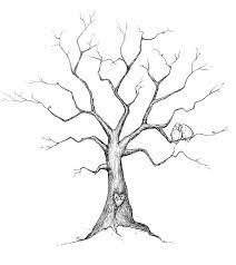 Trees Ideas Beautifull Trees Baby Shower Ideas Barn Weddings Drawing Ideas Tree Template Wedding Tre Tree Drawing Simple Tree Drawing Family Tree Drawing