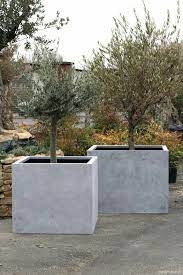 Bei pflanzkübeln aus beton lohnt sich das selbermachen! Stabile Dekoration Aus Beton Diygardeneasy Club Concrete Garden Herb Garden Design Garden Decor