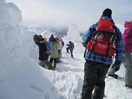 Image result for Hakkoda Walk