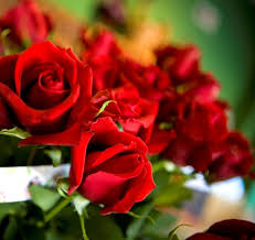 Mother's day is a celebration honoring the mother of the family, as well as motherhood, maternal bonds, and the influence of mothers in society. Mother S Day 2021 Milwaukee Area Restaurants Serving Specials Takeout Or Dine In