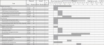 gantt chart example for new product development