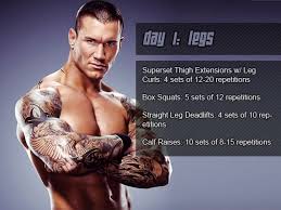 Randy Orton Workout Routine Diet Plan Lifestylegeeky Com