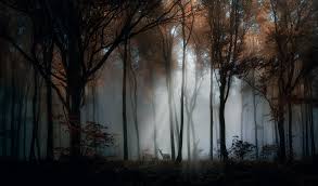 The company also has staples for industrial applications. Points De Vente En France De La Maison Verney Carron