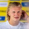 Weitere ideen zu bvb, bvb borussia, borussia dortmund. 1
