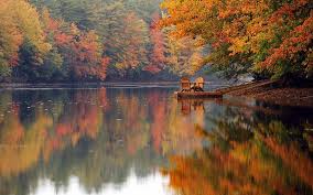 Maybe you would like to learn more about one of these? I Love Fall Good Night Fall Friends Sweet Dreams Facebook