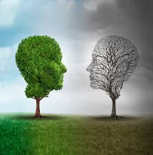 Bipolar disorder causes shifts in a person's mood and energy levels. Managing The Burdens Of Bipolar Disorder Progress In Mind
