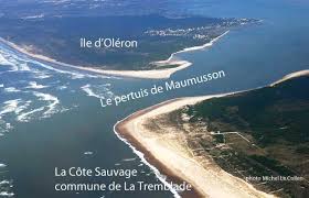 Ile D Oleron Visite De L Ile D Oleron Tourisme Et Vacances Ile D Oleron Oleron Charente Maritime