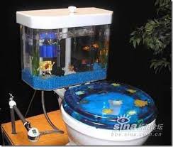 floating poop vs. sinking poop