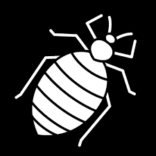 24 hour pest control services in manchester. Southern New Hampshire Pest Control Residential Commercial Exterminator