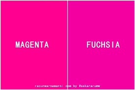 Racun Warna Warni Serba Serbi Warna Warna Magenta