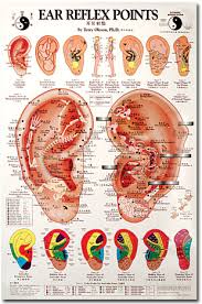 Ear Reflexology Chart Integrated Reflexology Reflexology Ear Reflexology Reflexology Chart