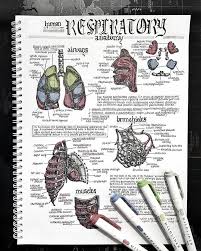 Pin On Study