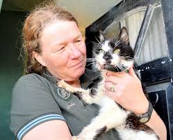 Moggie George, 16, was reunited with owners Barbara and David Fish after 6  years